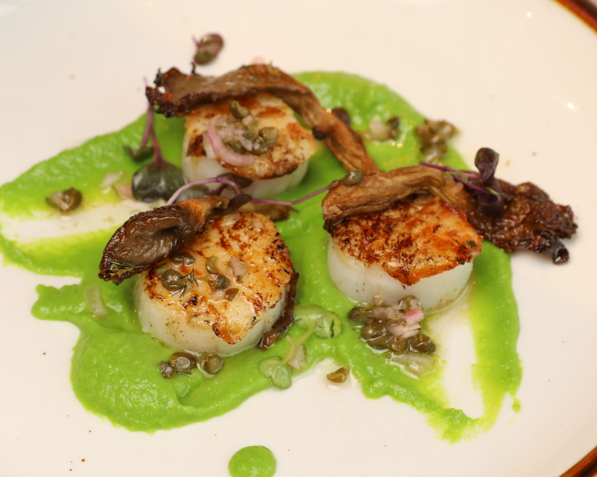 Scallops