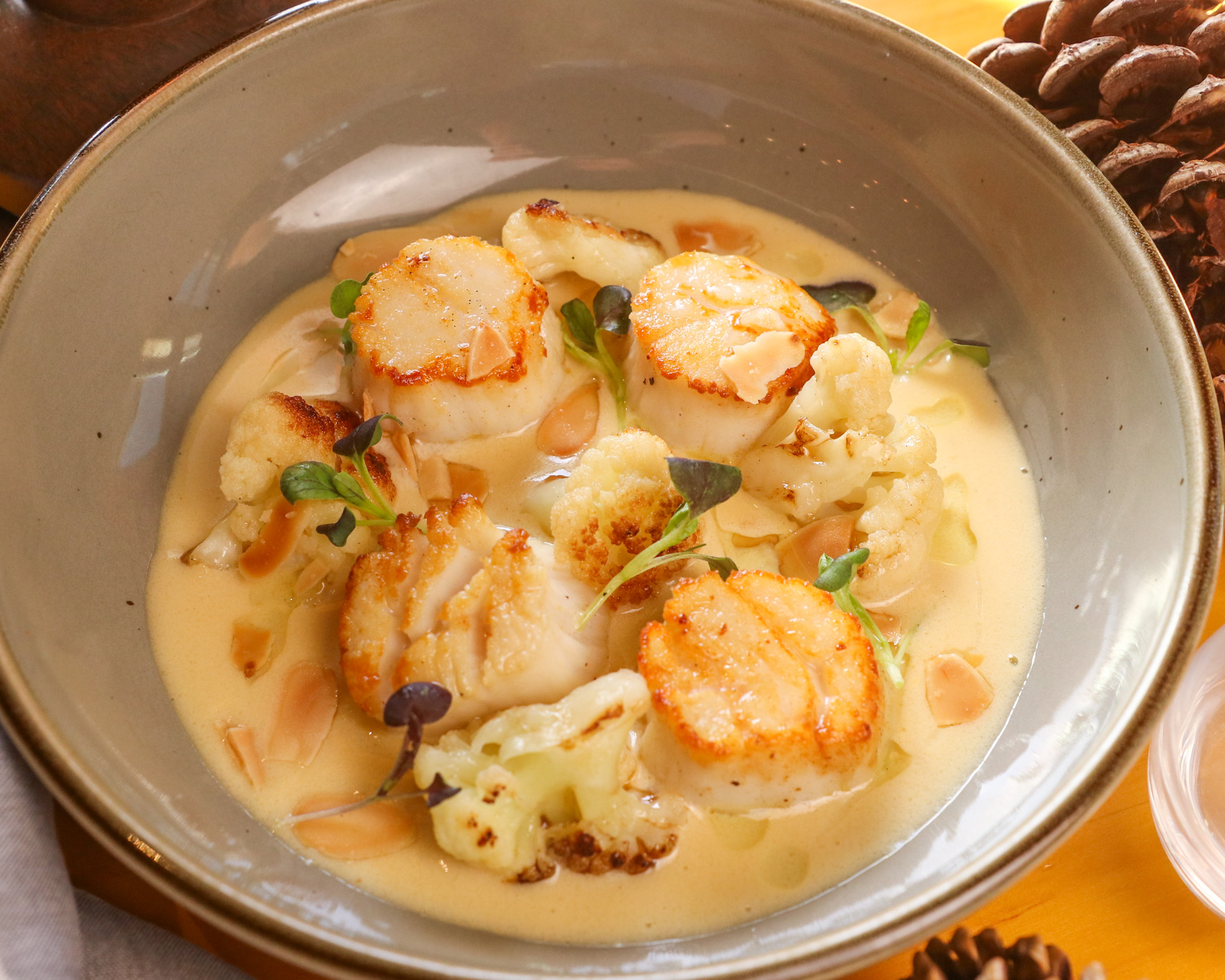 Scallops