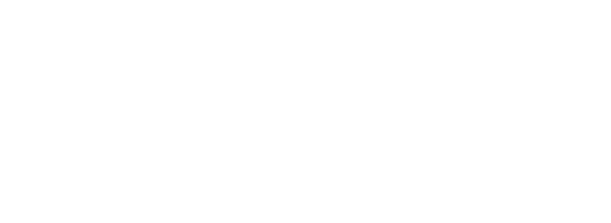 Ray's Twilight Septic Service Logo