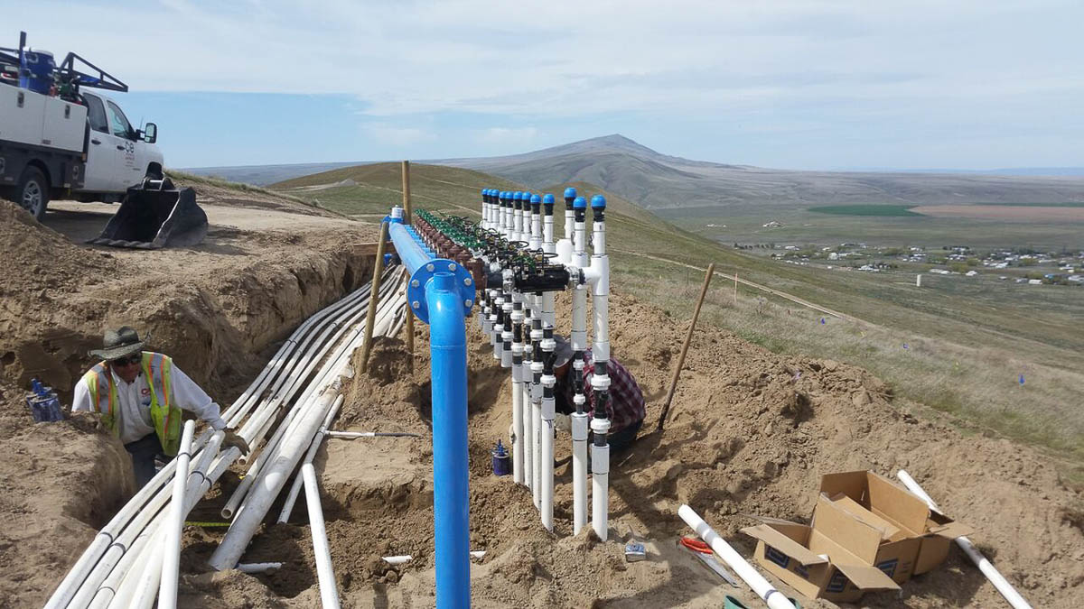 Orchard and Vineyard Irrigation Installation
