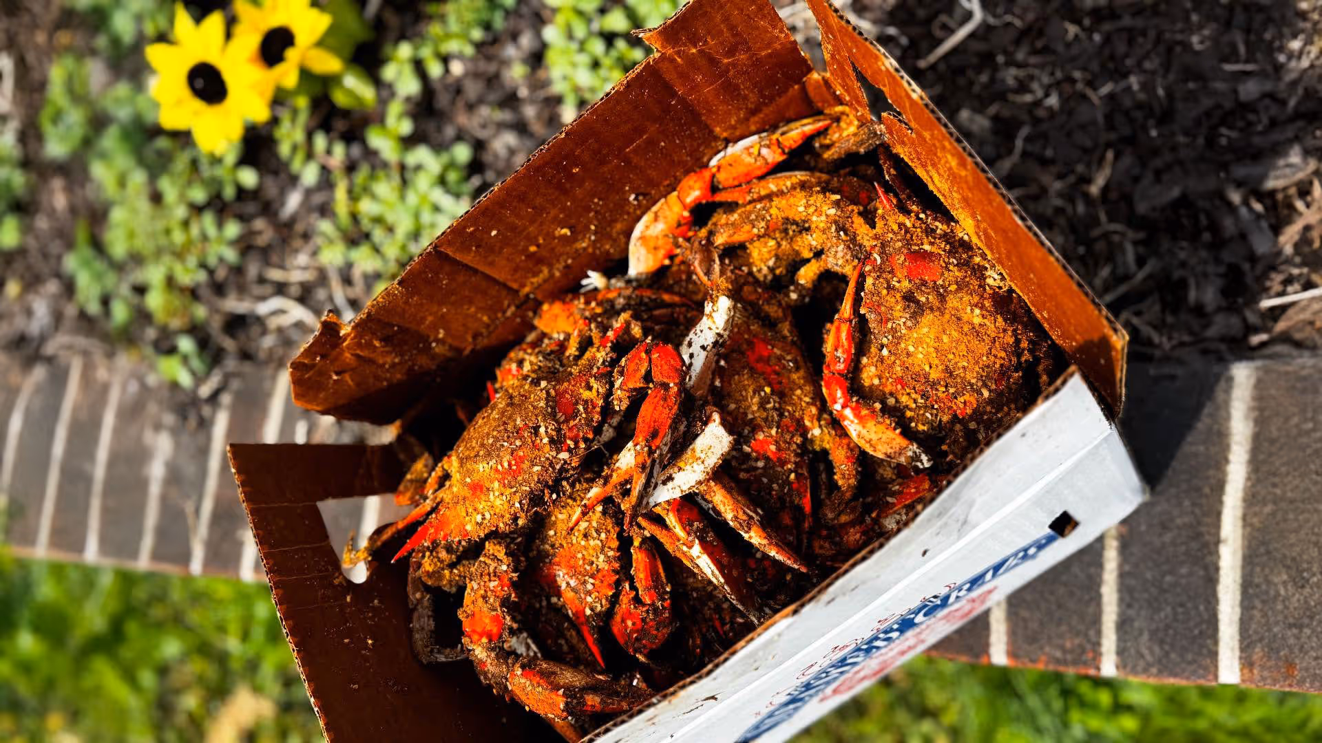 A box of seasoned crabs sits on a brick surface.