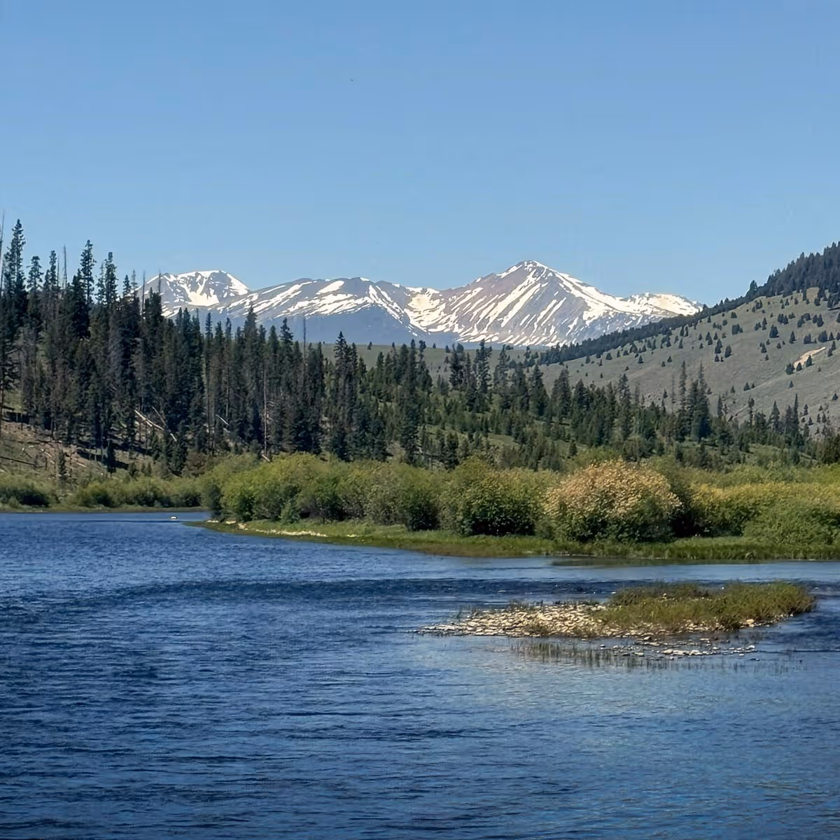 A river in front of forest and mountain range in the distance.