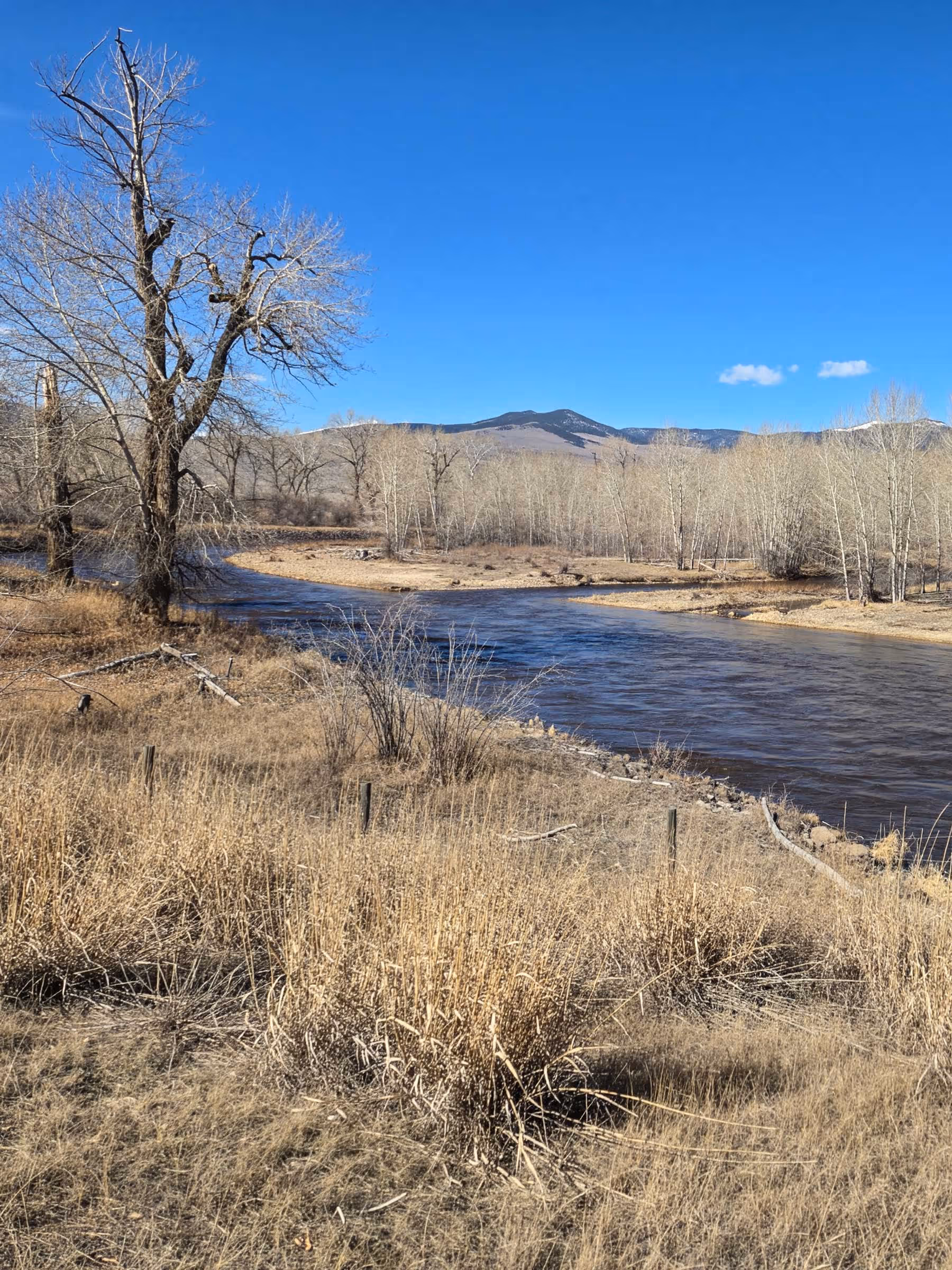 A river bank and river in the late winter.