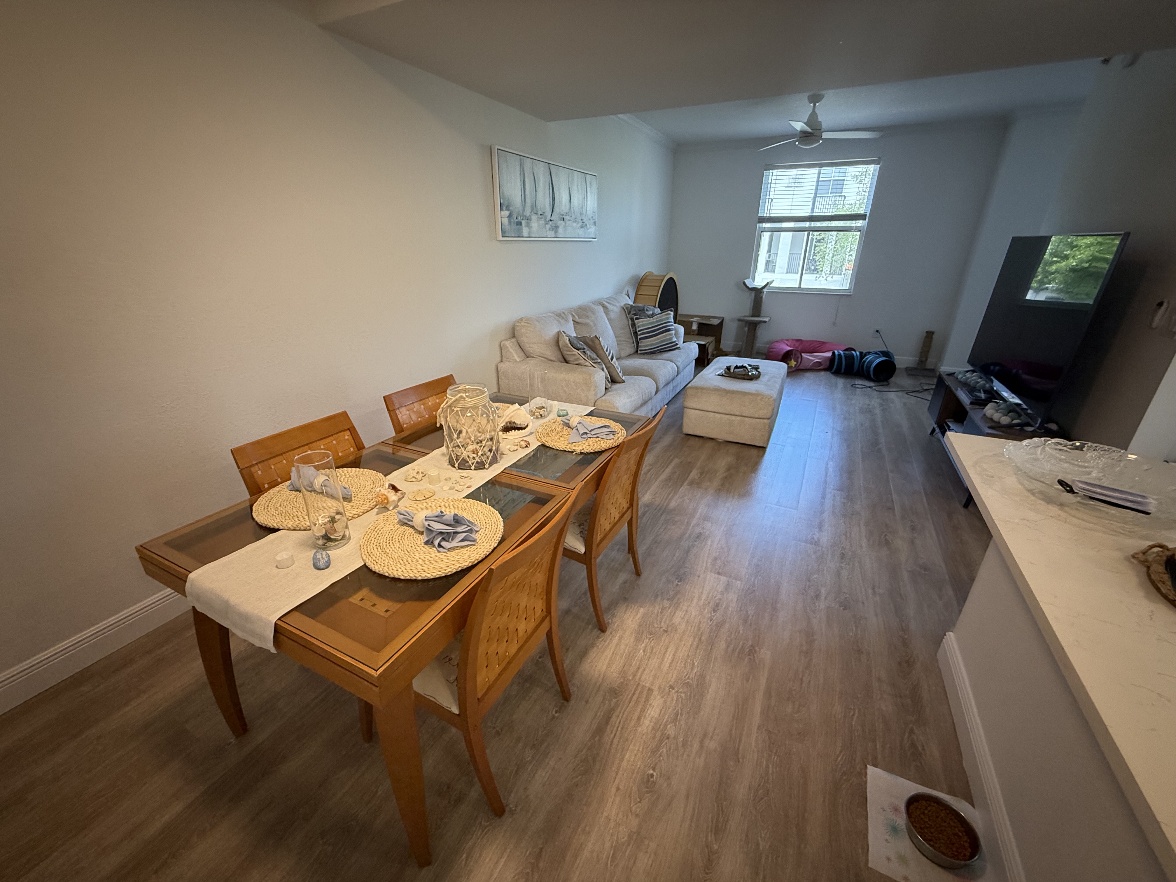 Pembroke Pines Clean House 4