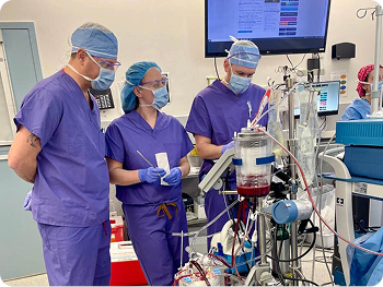 Three medical professionals in blue scrubs working with complex heart-lung machine equipment in hospital.