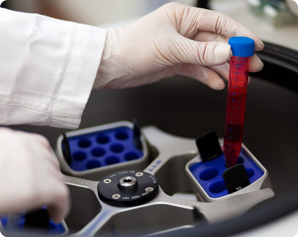 Gloved hand placing red liquid blood sample tube into a centrifuge machine rotor.