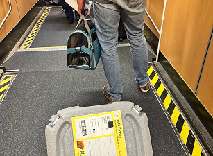 Person walking down an airplane aisle carrying a cat in a carrier and pulling a gray suitcase.