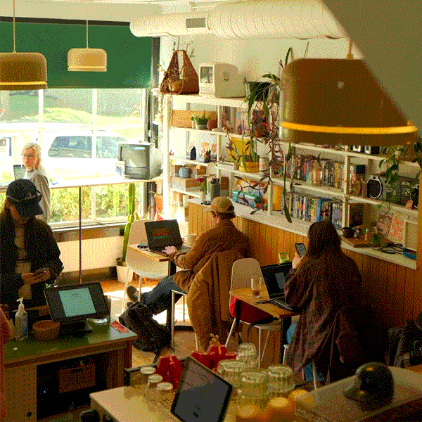 A collage of photos from Daydrink. A barista pours milk into a latte, a lemon matcha drink, specialty coffee and seltzer, brass squiggles and brand sun, and a photo of the coffee shop are all featured on a black background.