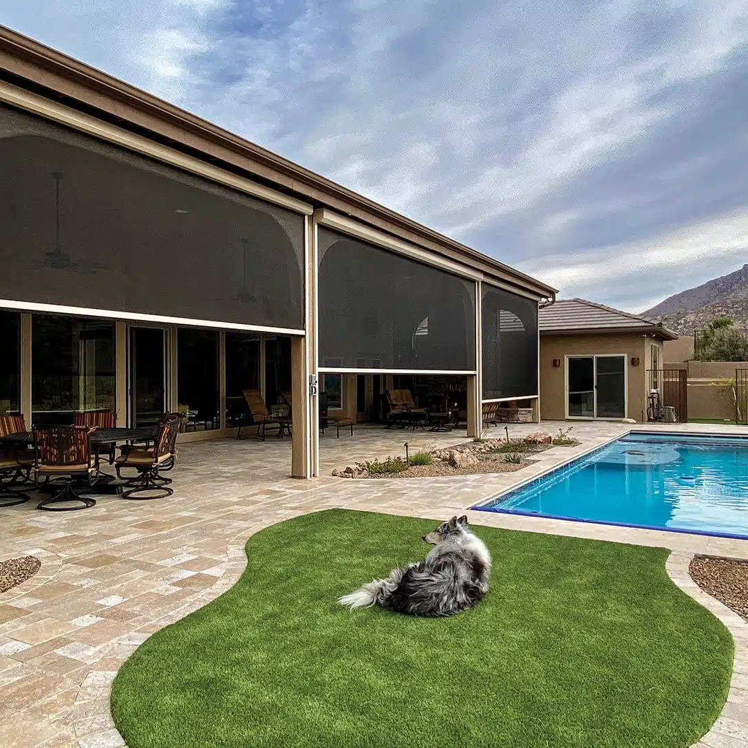 A dog lying on a green lawn near a tiled patio and a blue swimming pool adjacent to a house with large screened porch.