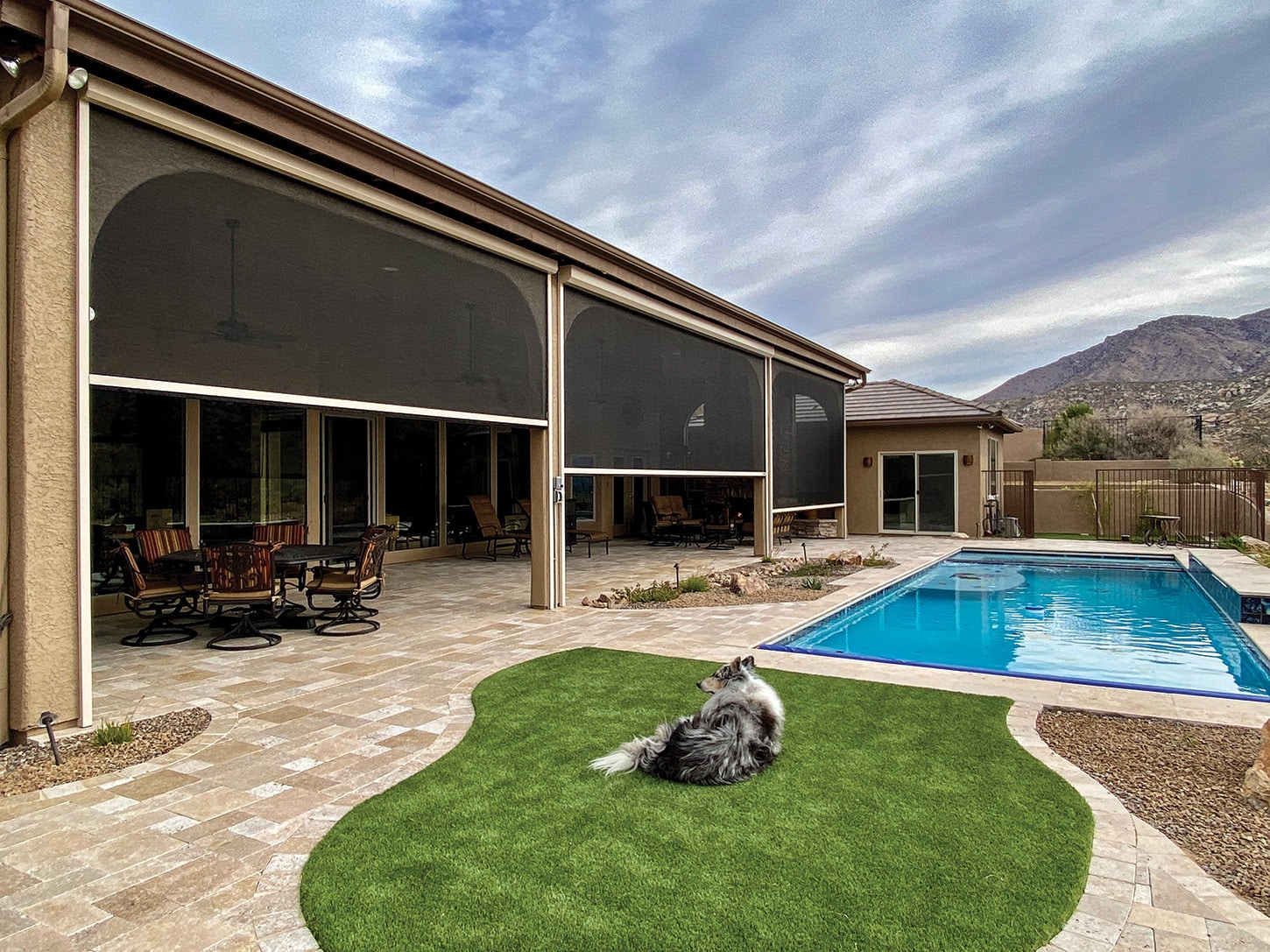 Outdoor patio with solar screens, pool, dog on artificial grass, Tucson, AZ.