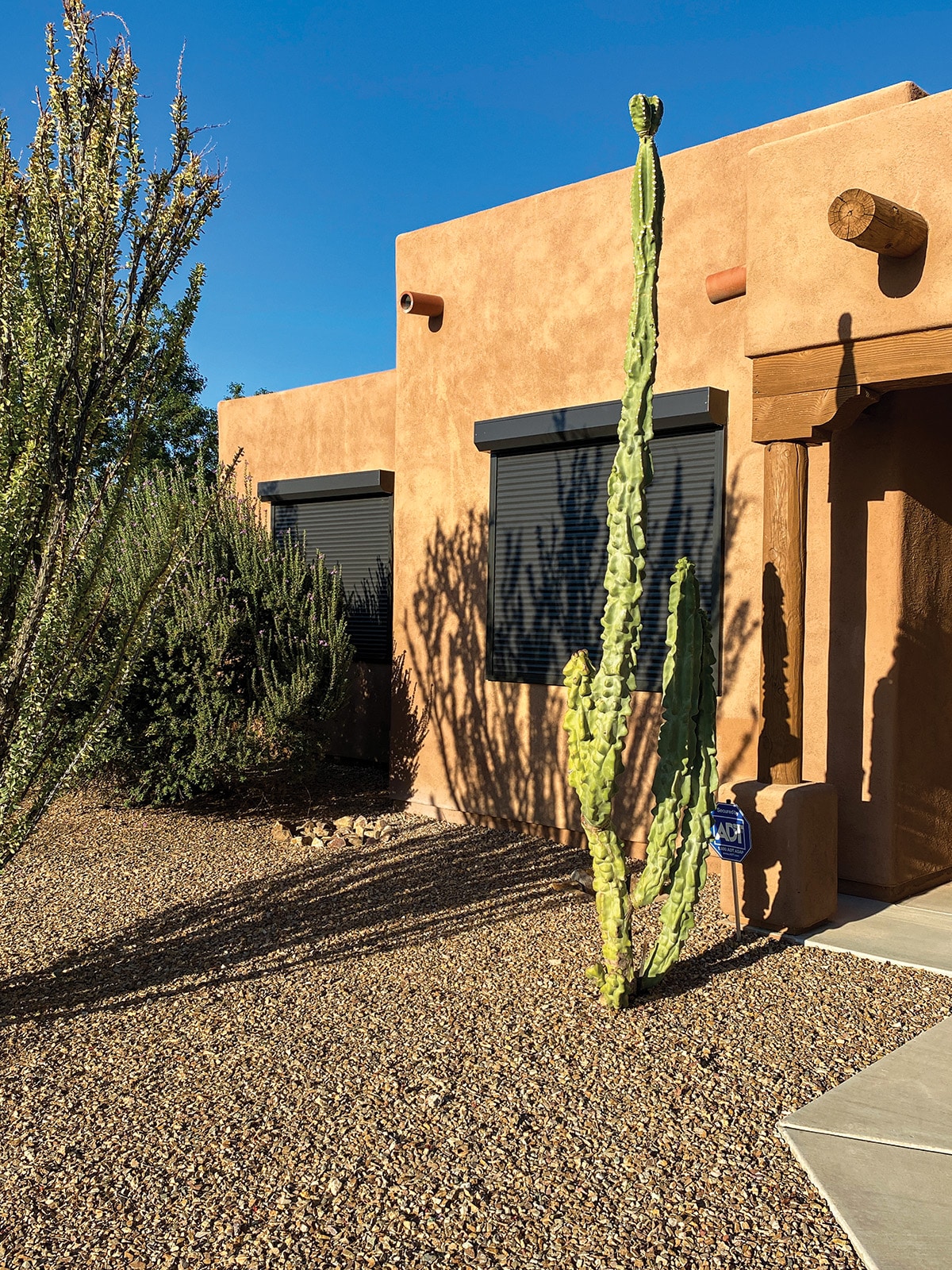 Southwestern-style home with adobe-colored walls, closed dark rolling shutters on windows, and a desert landscape featuring tall cacti, gravel ground cover, and a clear blue sky.