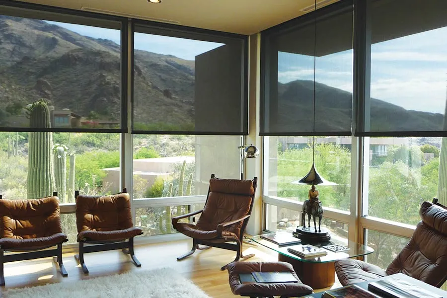 Interior shades in living room