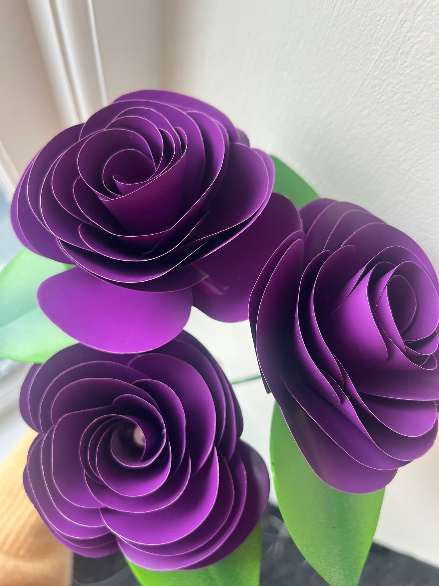Purple charity rose