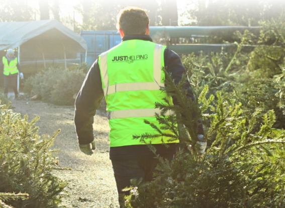 Just Helping - Christmas Tree Recycle