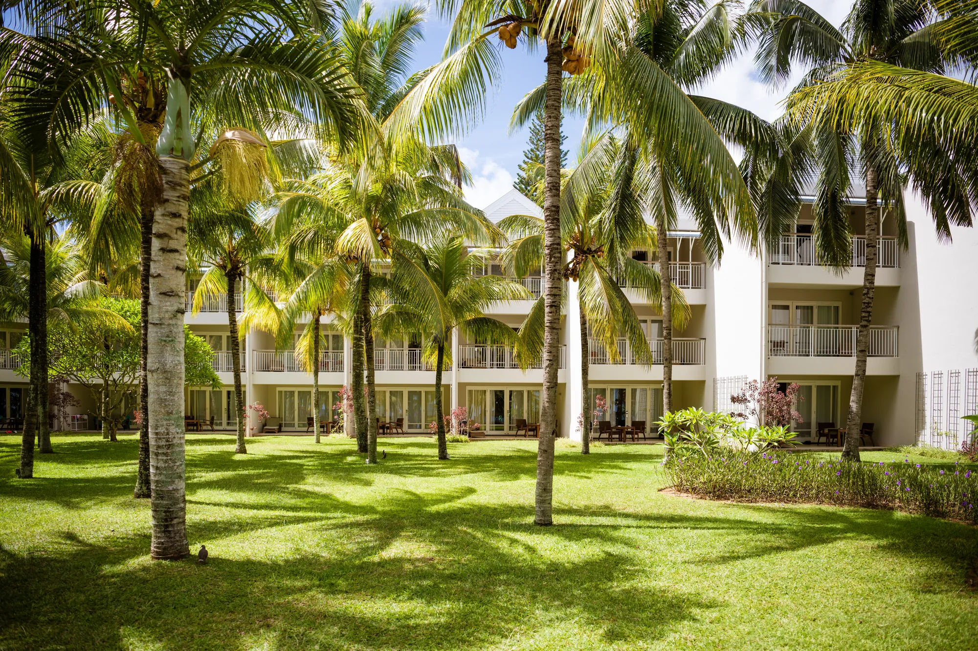 mauritius-beach-resort-couple-arriva with ocean views in Mauritius.