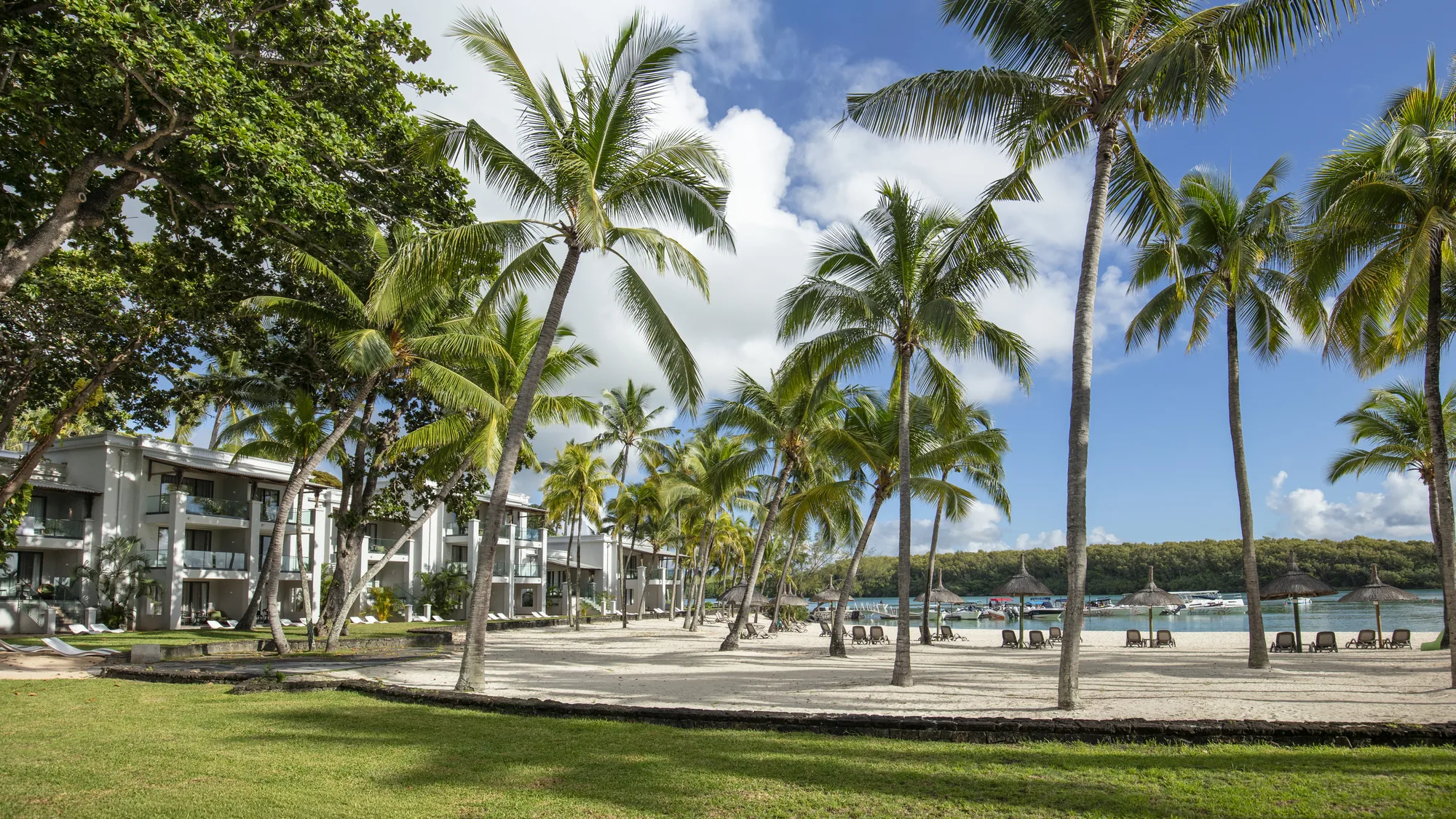Palm trees on a beach lawn, with white accommodation blocks behind