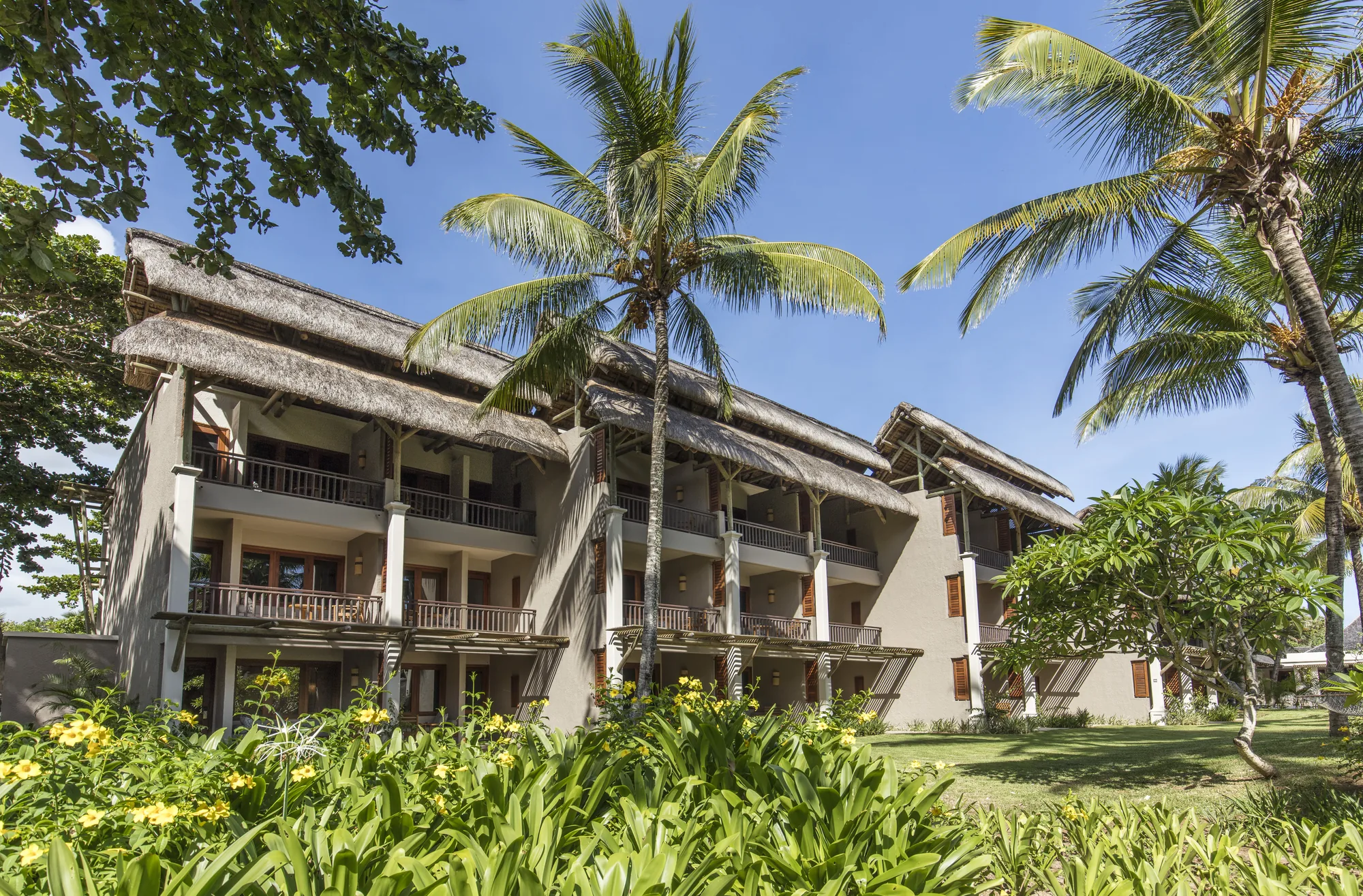 A thatched-roof accommodation block among palm trees and tropical planting