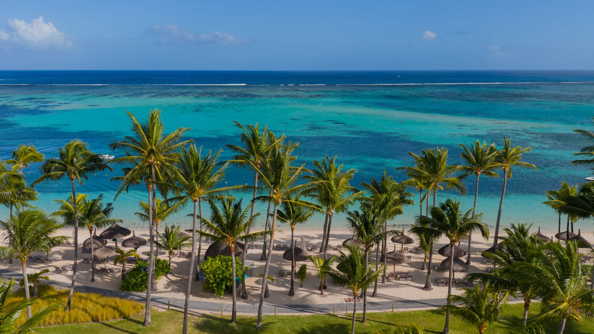 Palm trees and thatched parasols along the beach, with the reef and open sea beyond