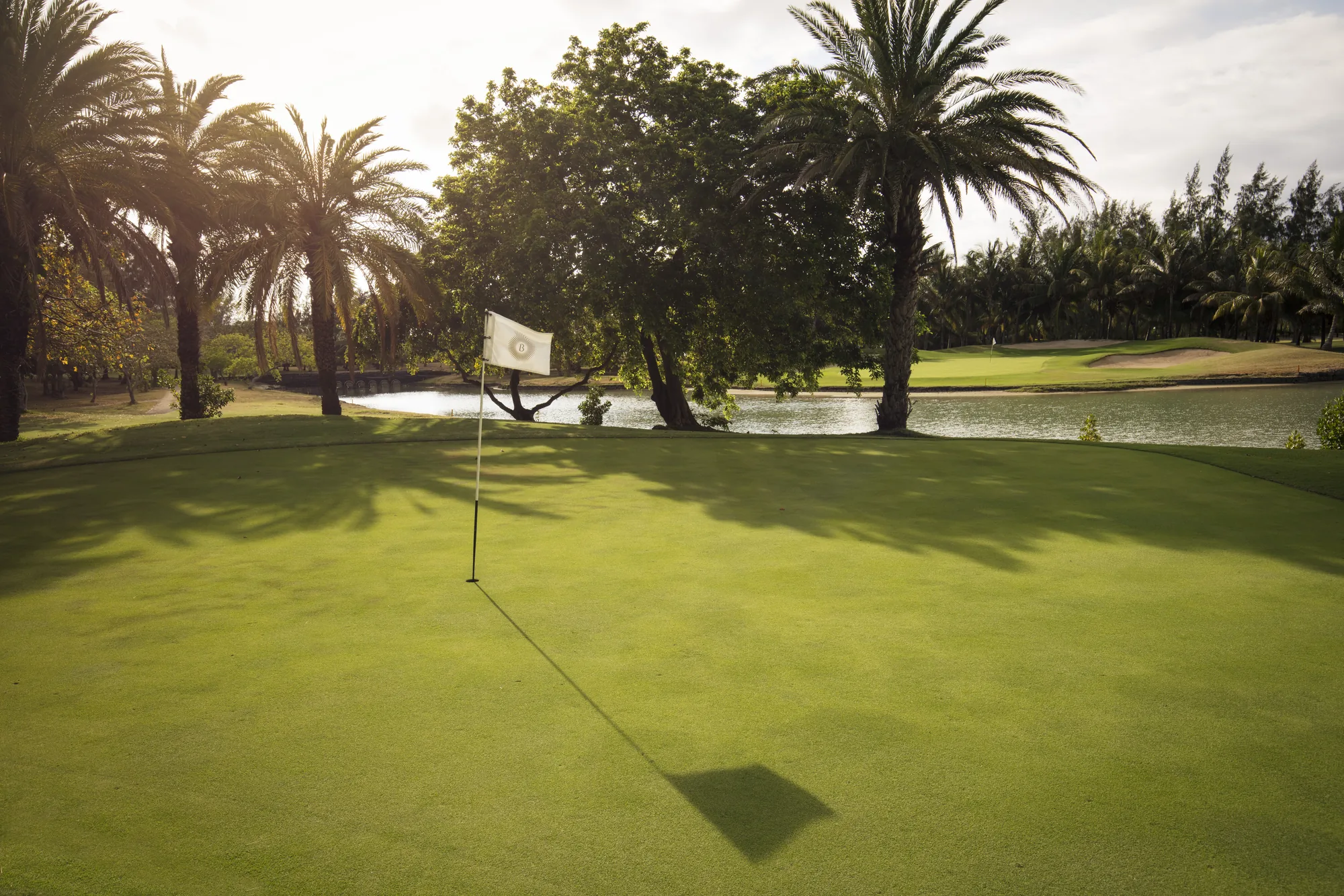 A golf green with a flag, framed by palm trees