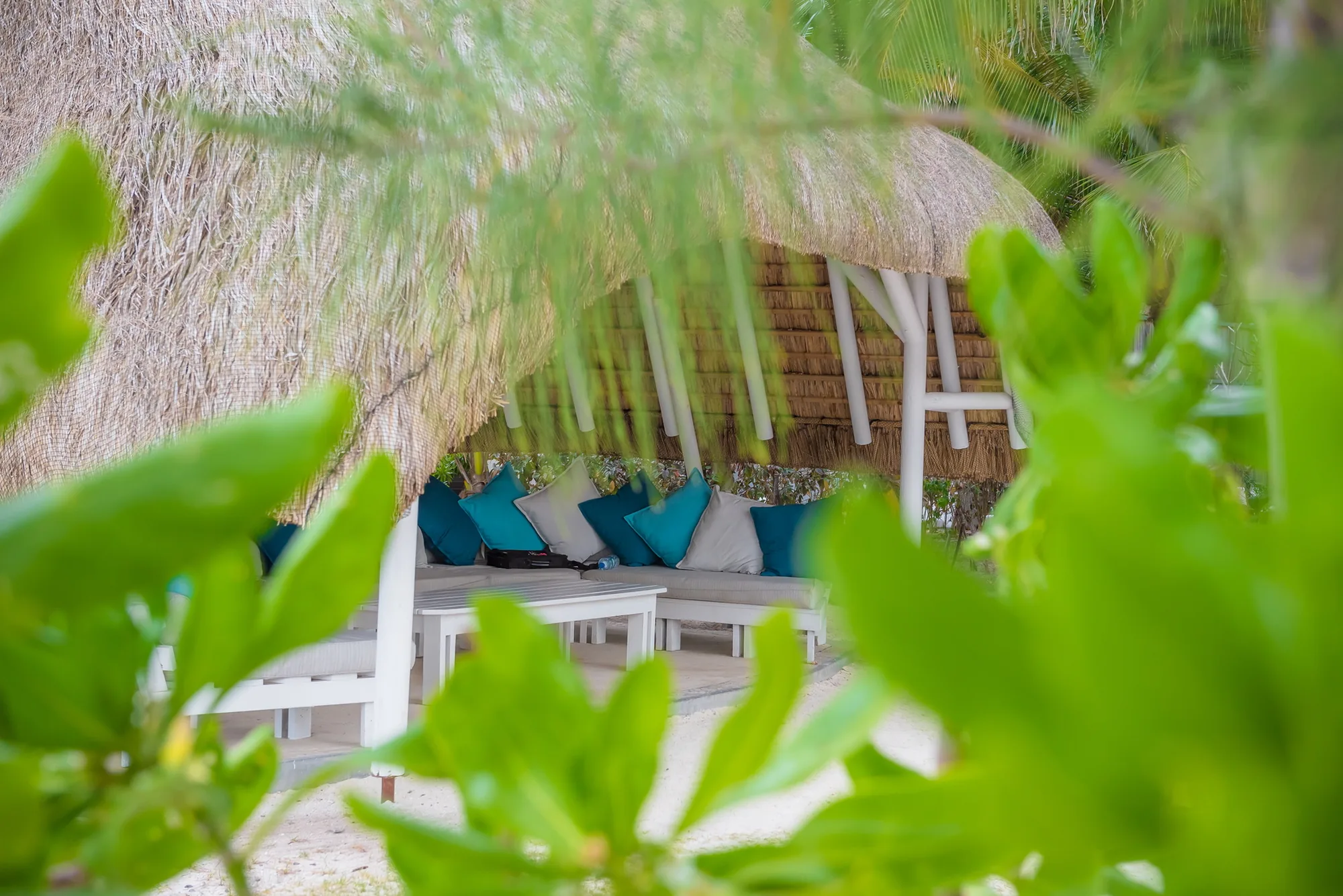 A thatched beach pavilion with cushioned seating, seen through greenery