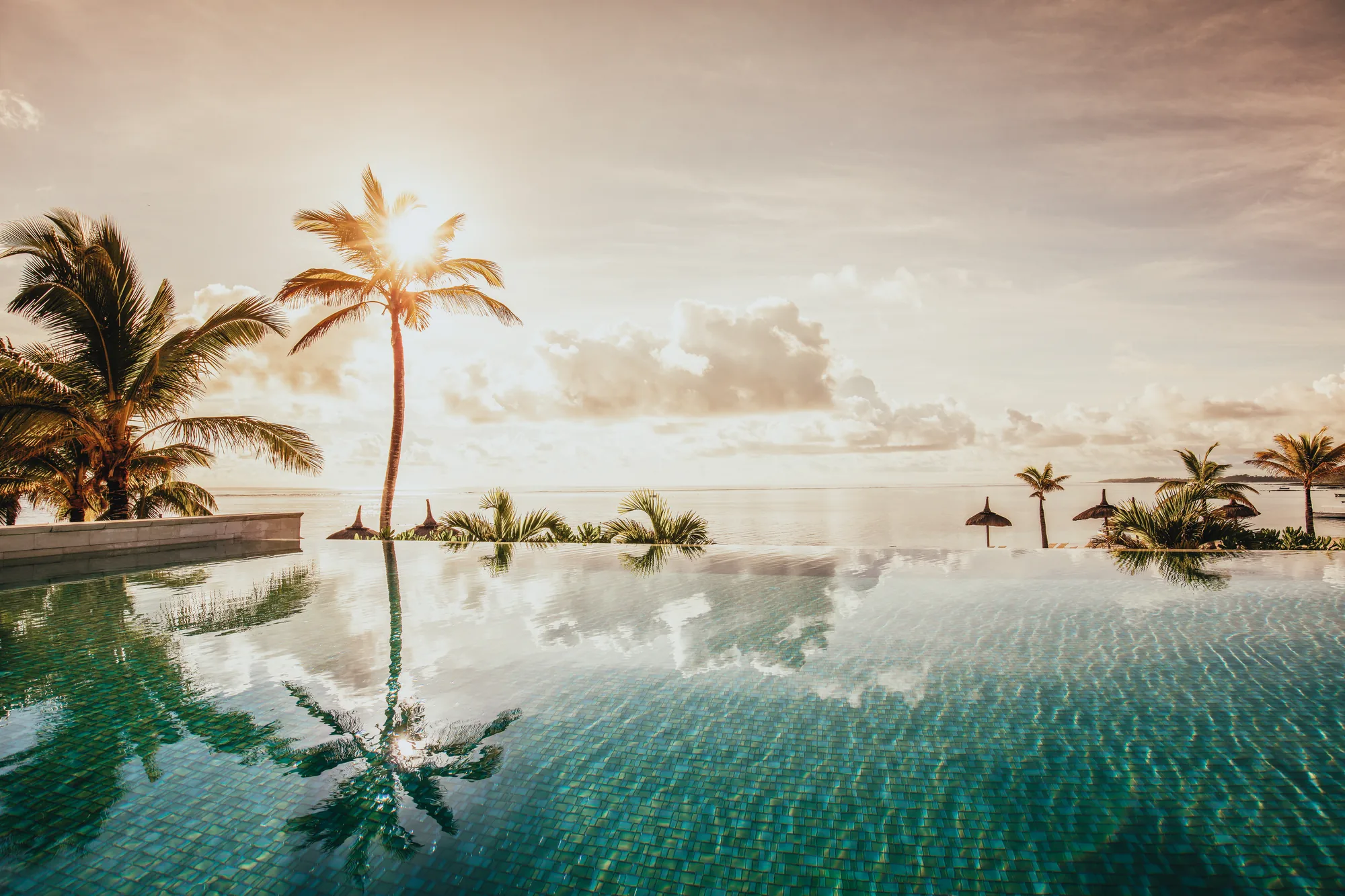 An infinity pool at sunrise, with palm trees reflected in the water