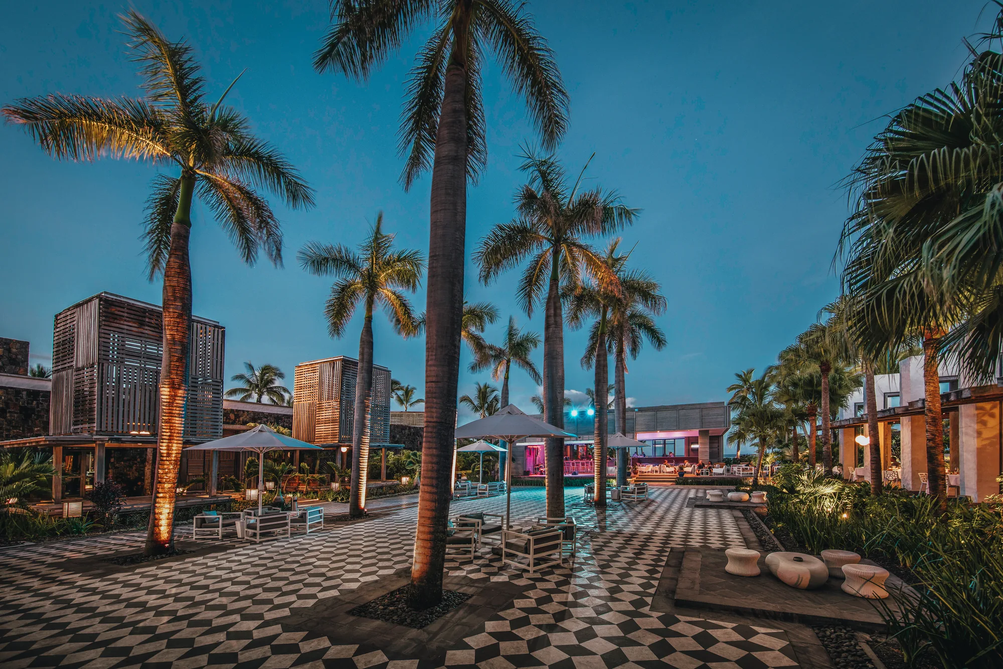 A chequered plaza with palm trees and seating, lit at dusk