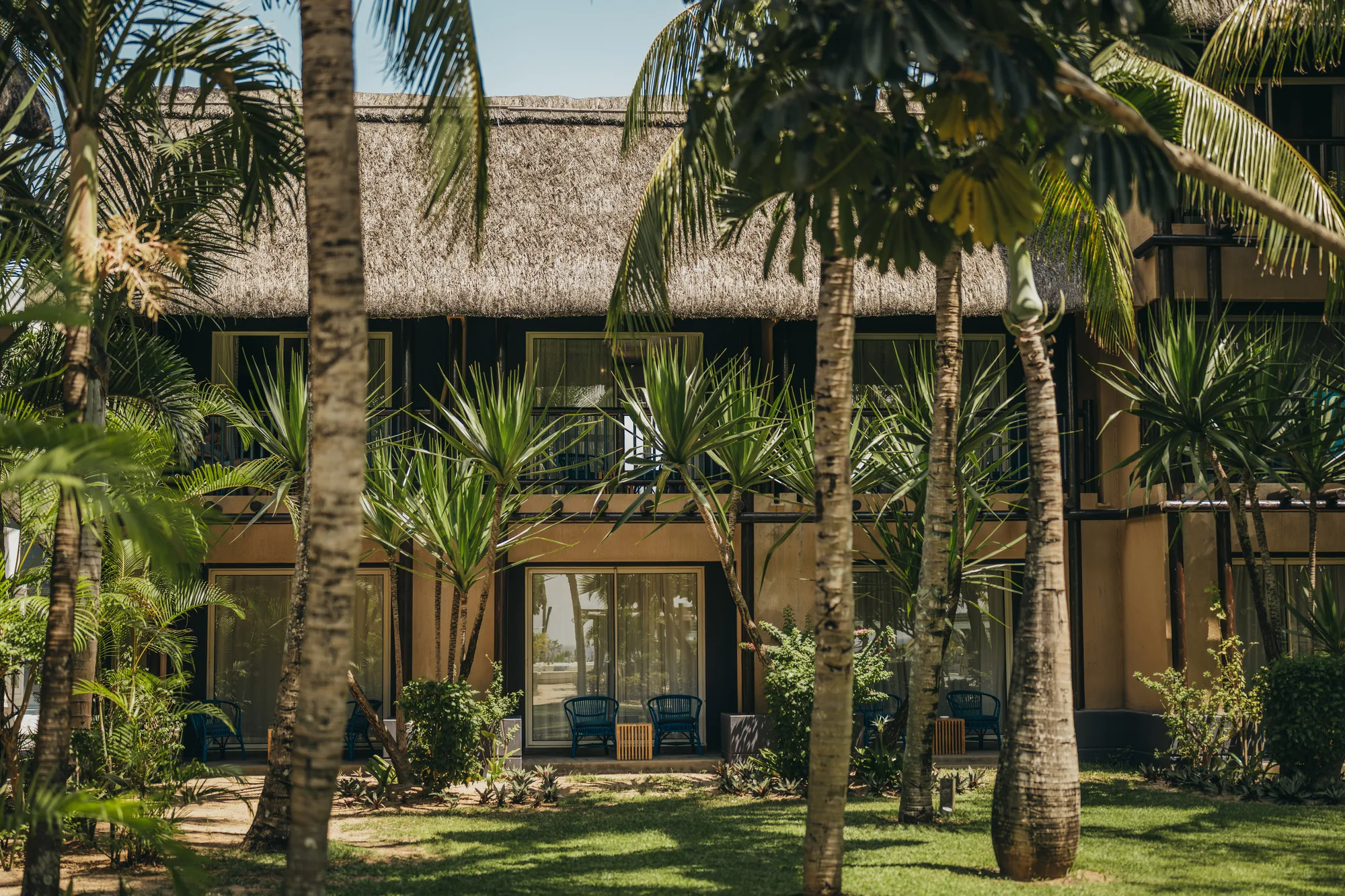 A thatched accommodation block behind palm trees and tropical planting