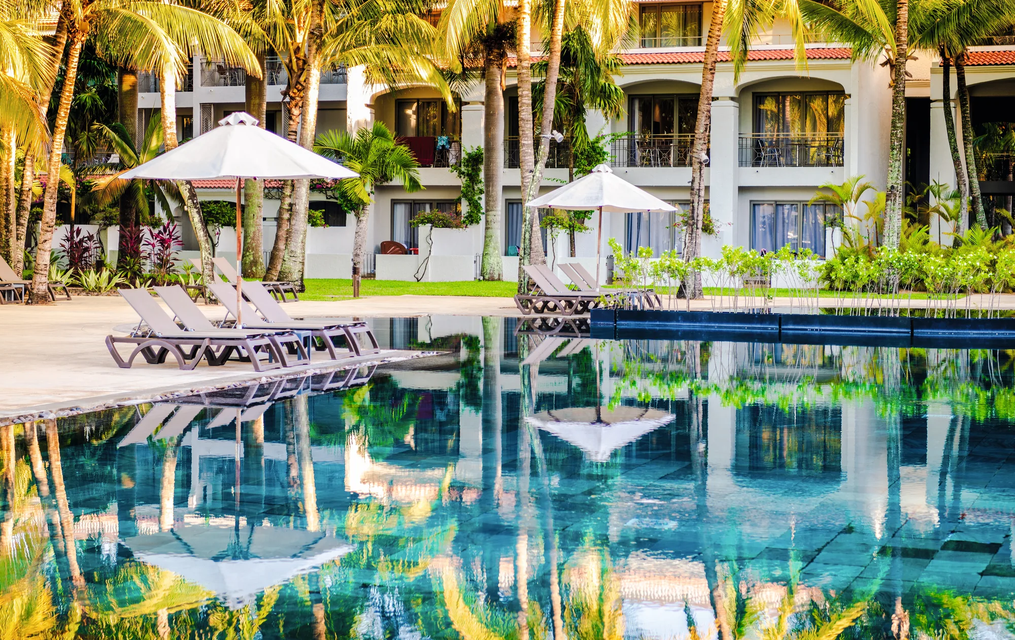 A pool reflecting palm trees and the white buildings beyond