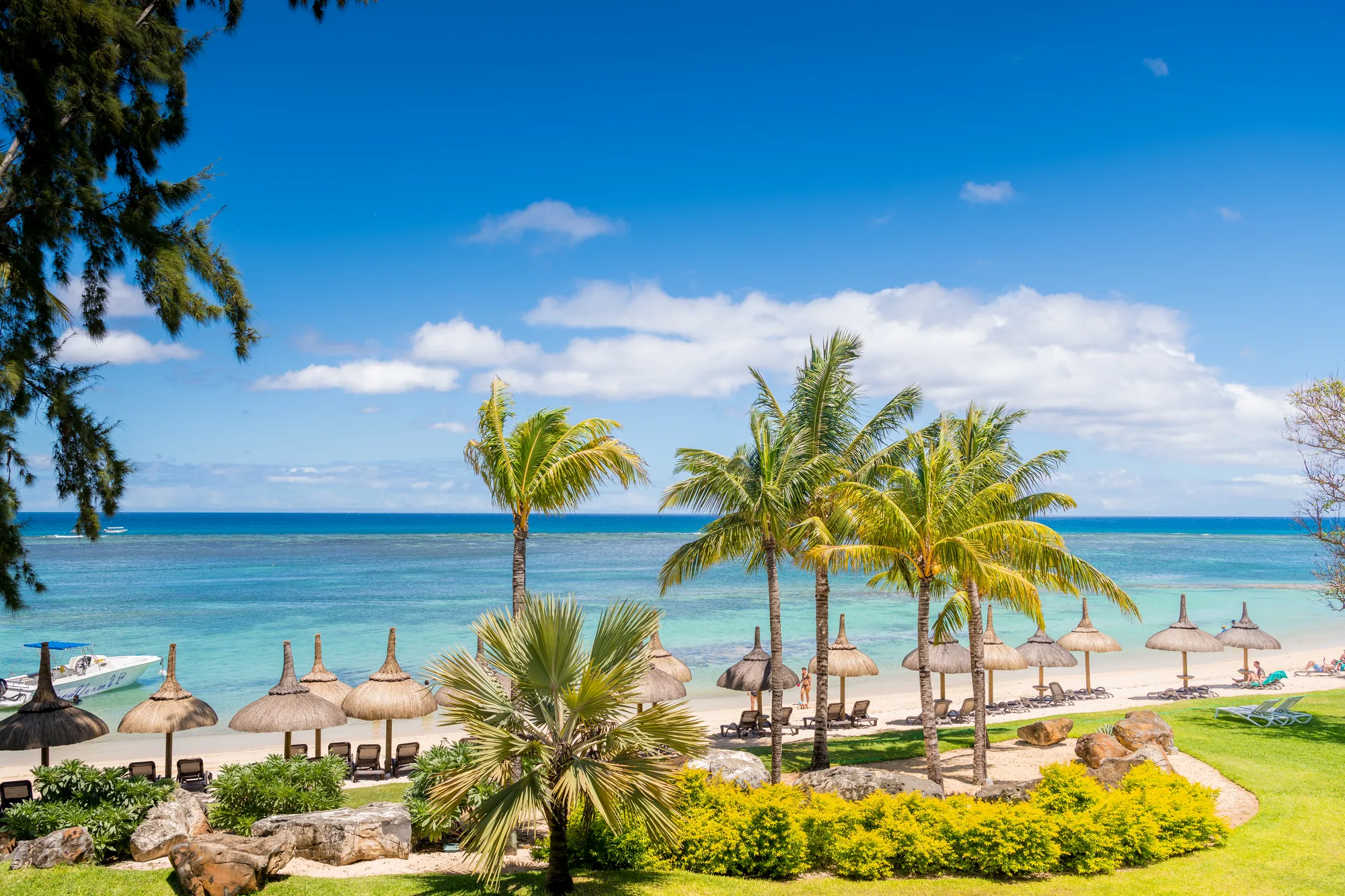 Thatched parasols along the beach beyond palm trees and a flowering garden