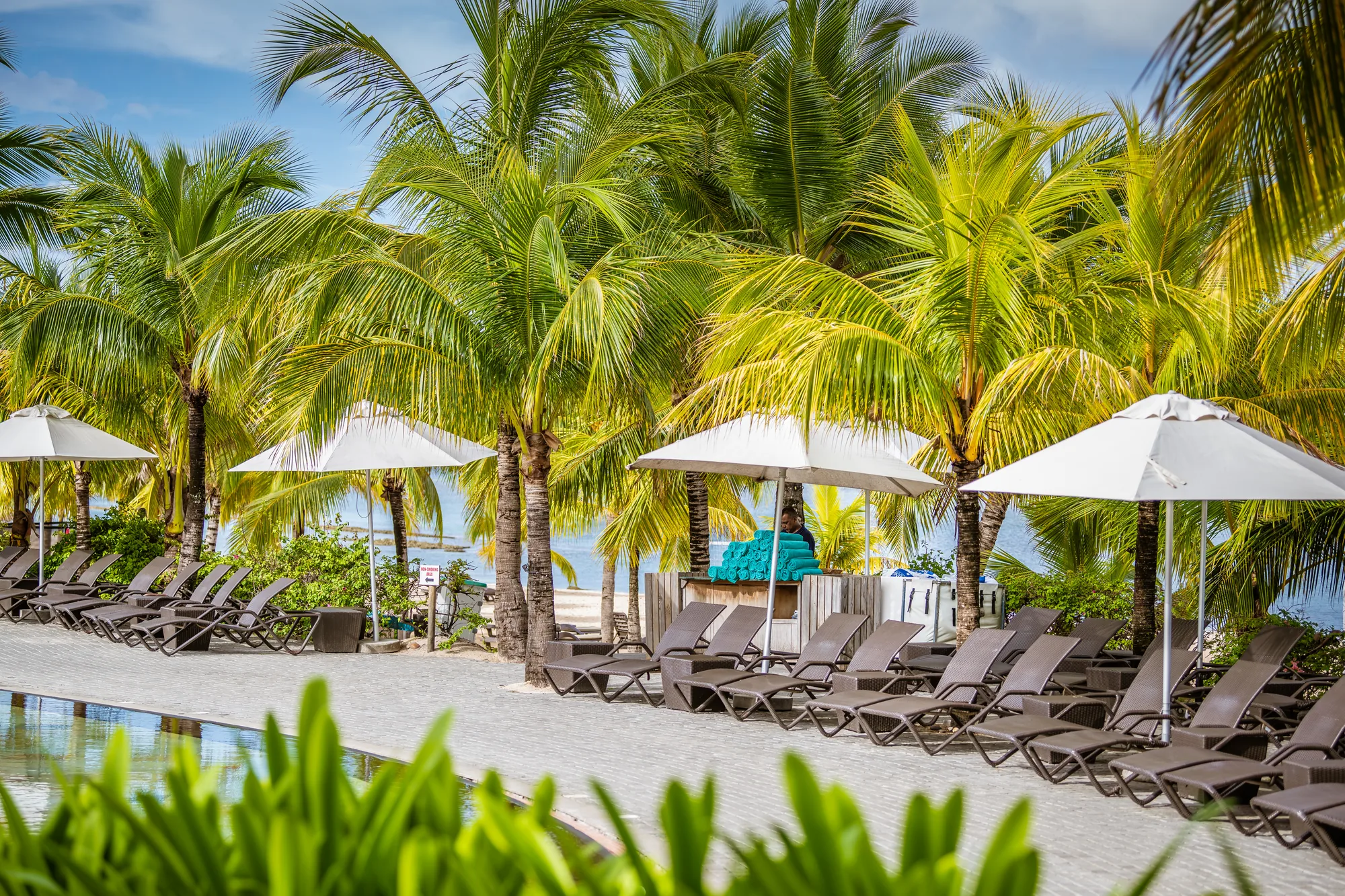 Rows of loungers under white parasols beside a pool among palm trees