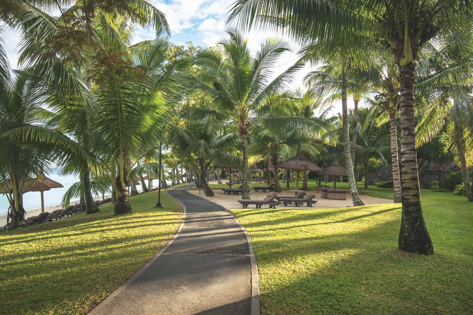 A path through palm trees across a lawn towards the beach