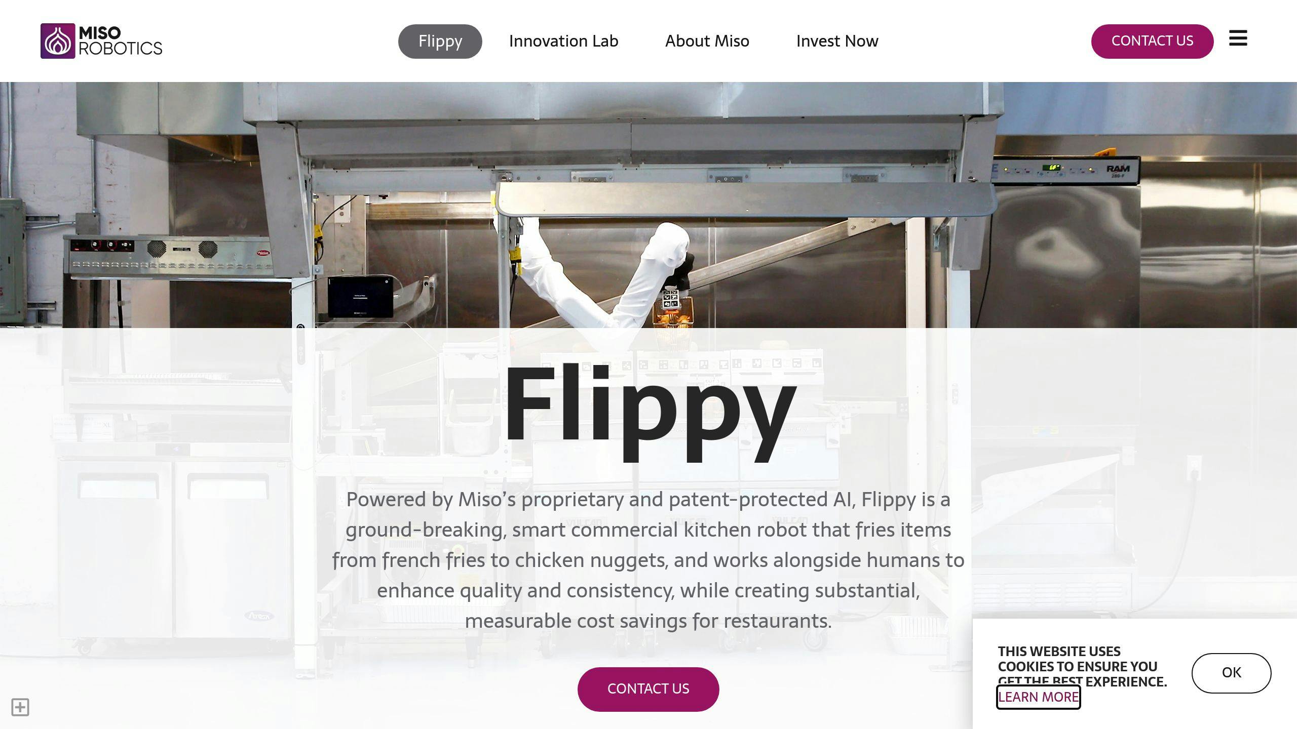 Flippy 2