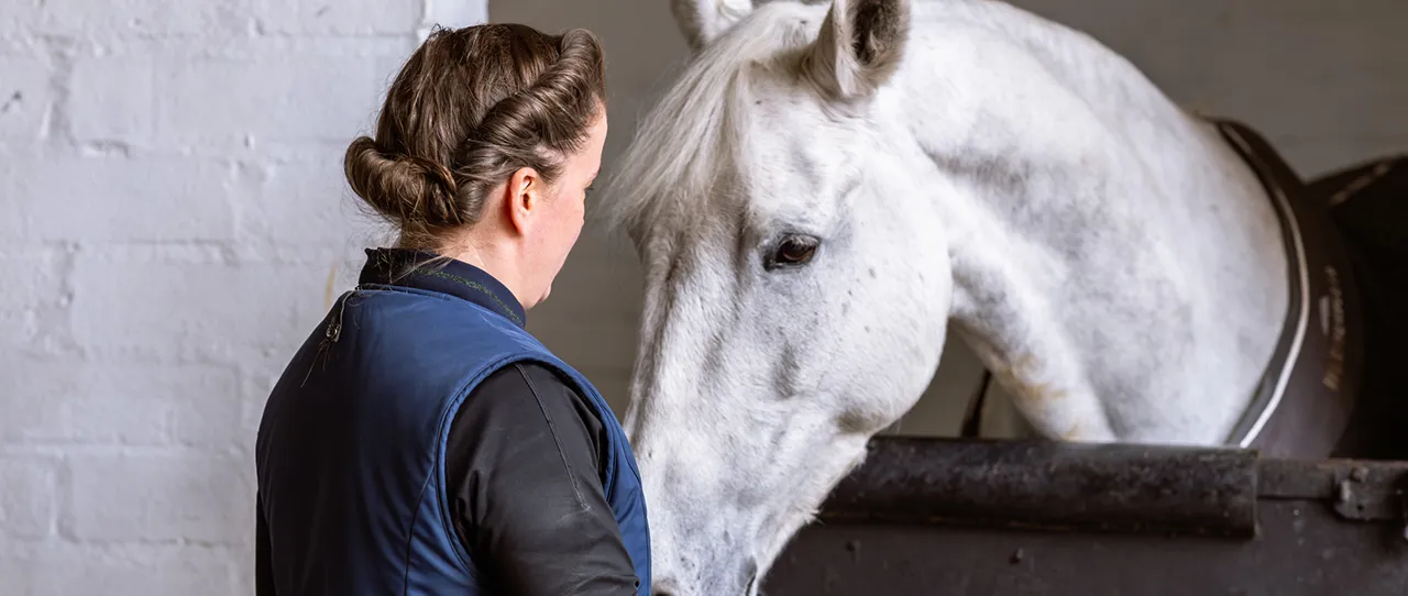 Person in a navy vest gently facing a white horse inside a stable.