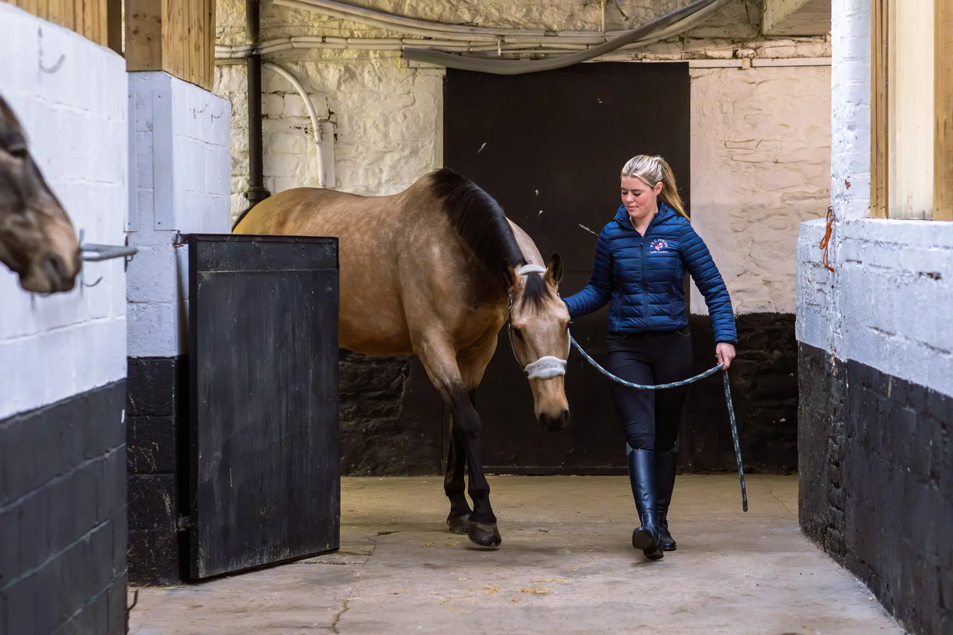 A woman in a blue jacket and black boots leads a brown horse with a black mane through a stable corridor.