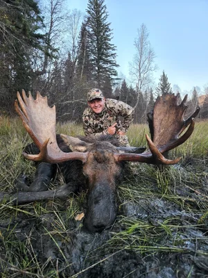 Moose