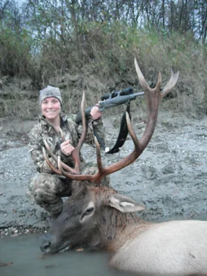 Rocky Mountain Elk