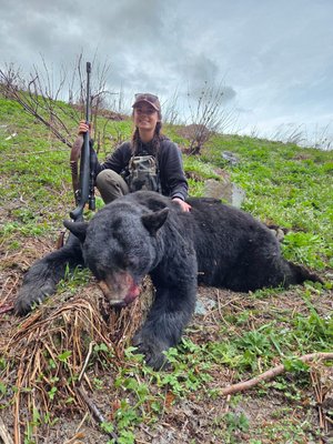 Black Bear