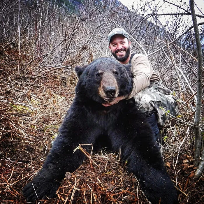 Bear