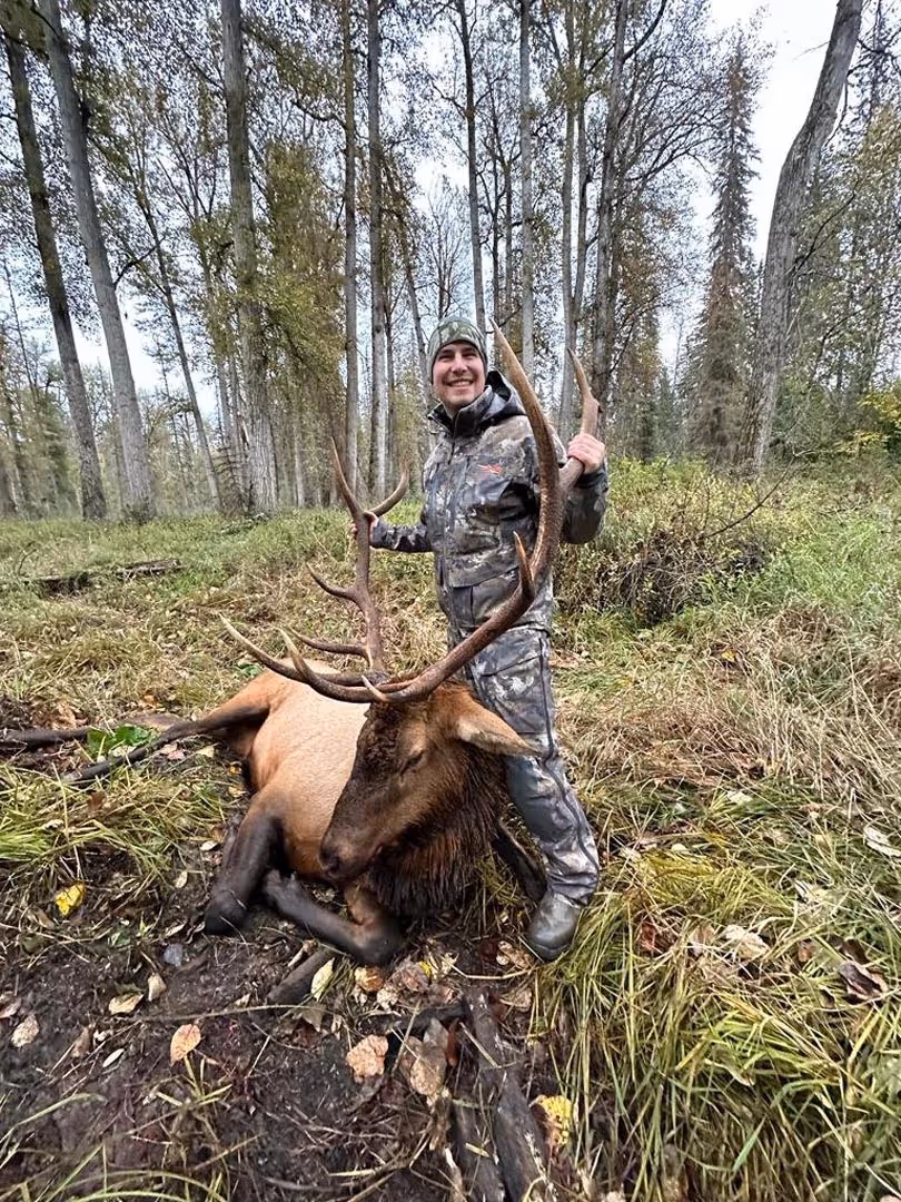 Rocky Mountain Elk Hunt