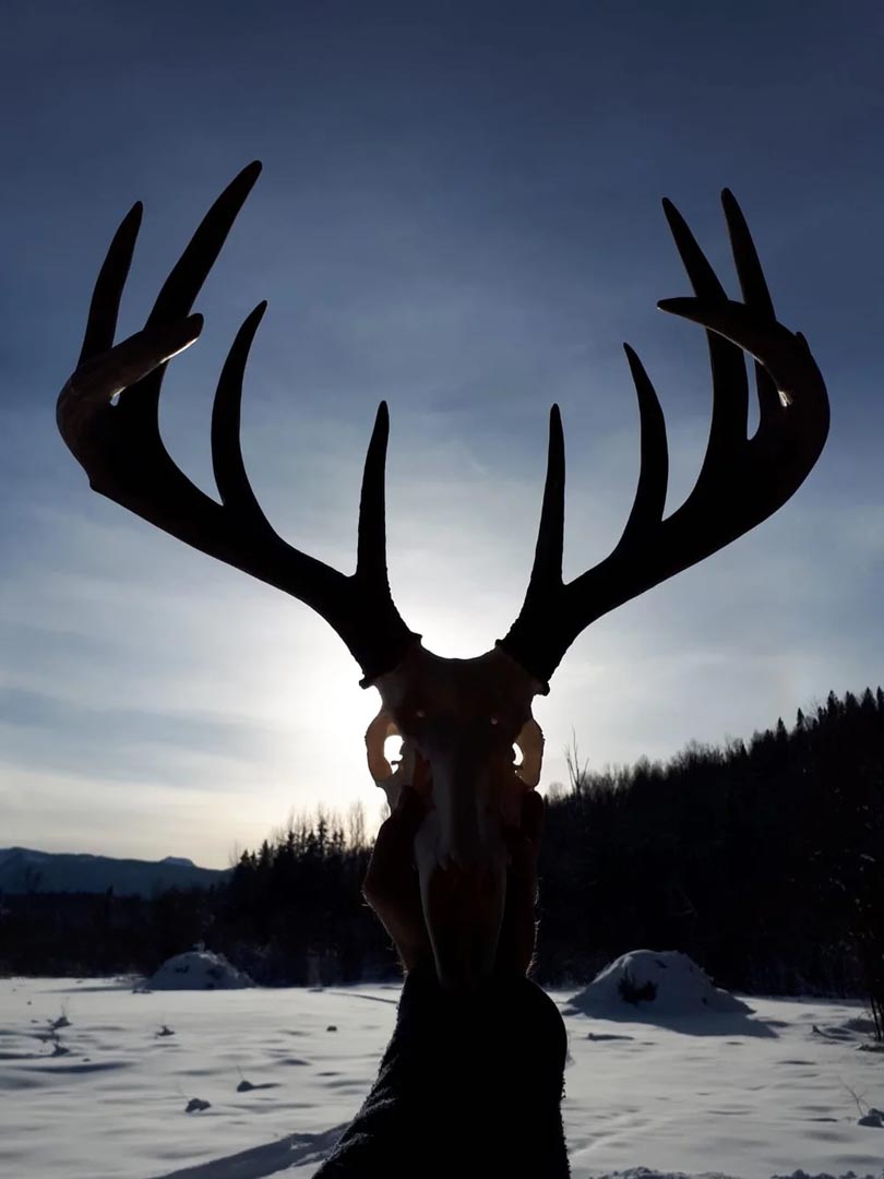 Hunting Guides