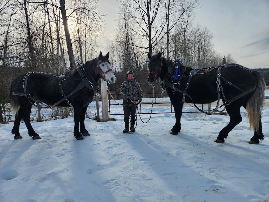 Horseback Hunts
