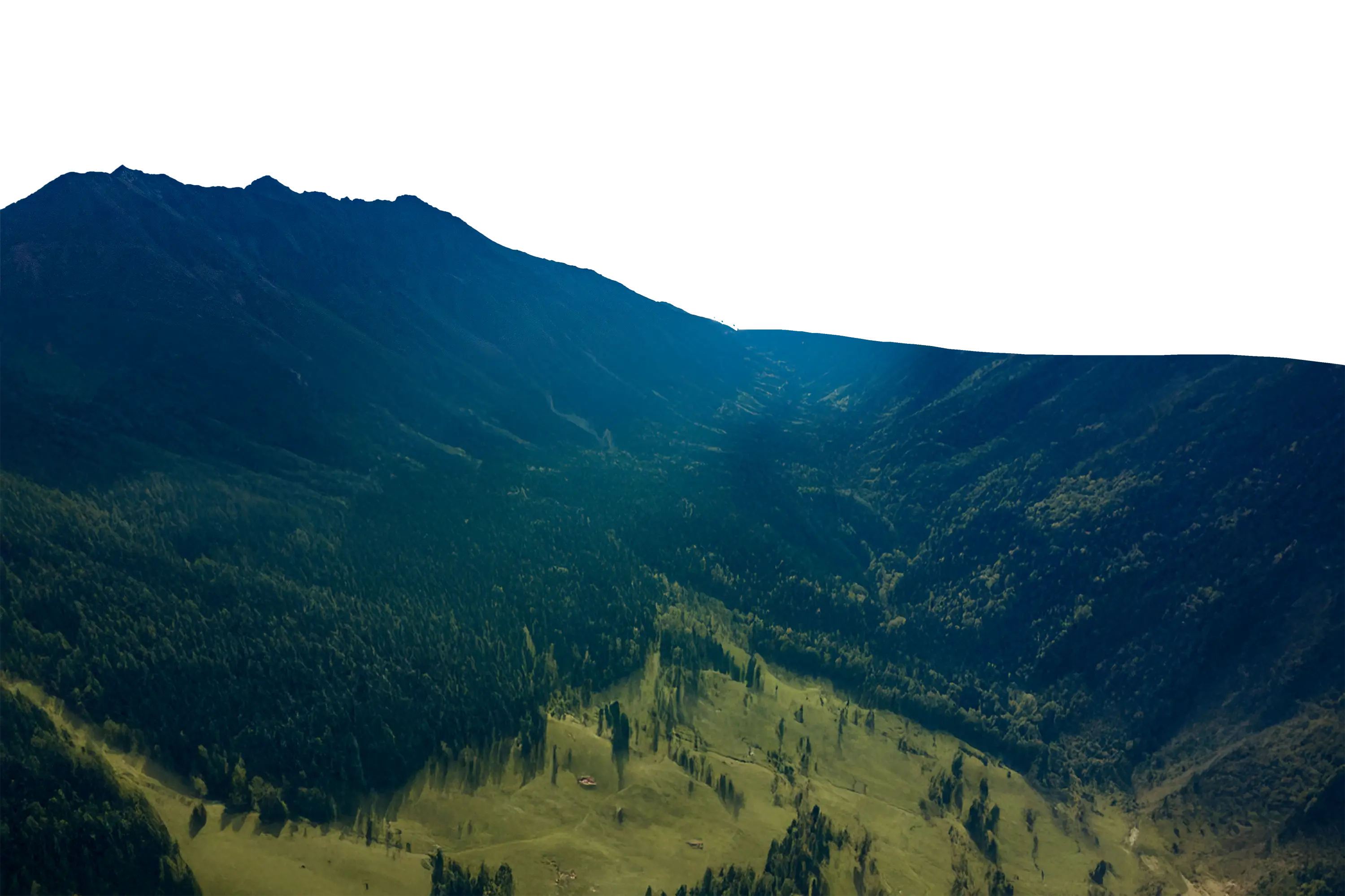 forest and mountains