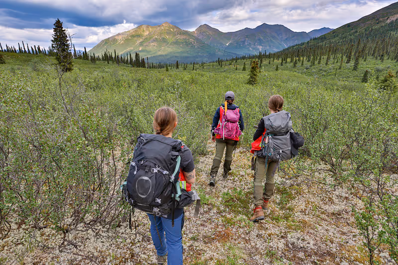3 people with backpacks walking in an open with a mountain far ahead and trees