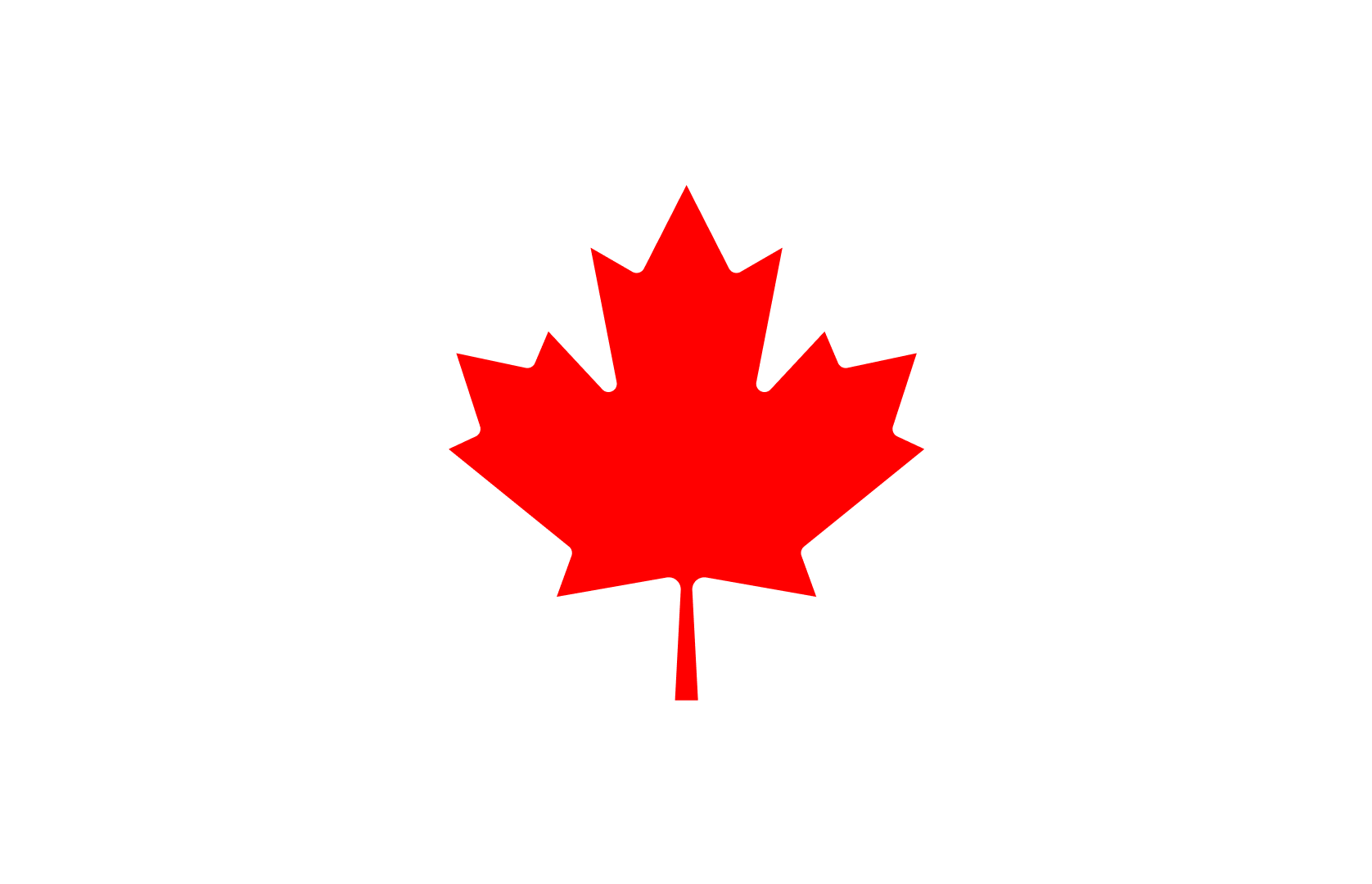 Red maple leaf design on a white background, centered.