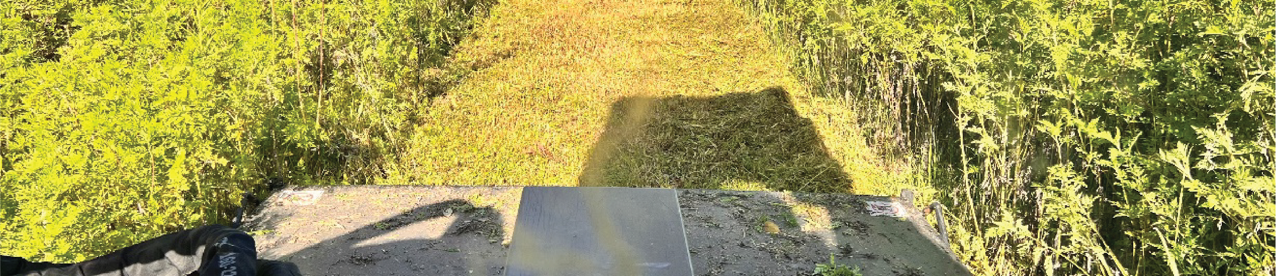 Grounds & Property Maintenance