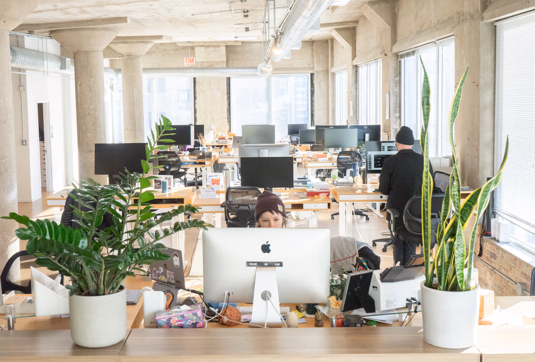 Bright modern office with rows of desks and computers, two people working, and large green potted plants in the foreground.