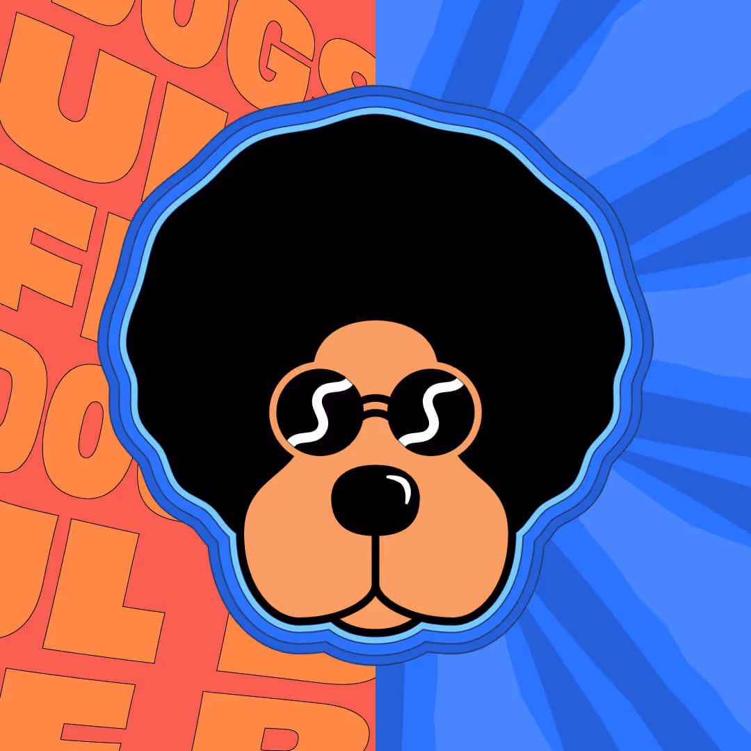 Stylized dog face with large black afro and round sunglasses against a split orange and blue background.