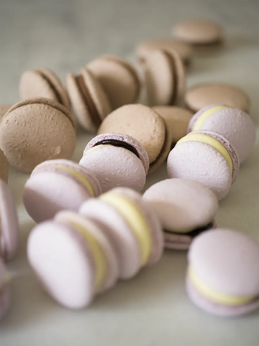 Ett urval av ljusbruna och ljuslila macarons med olika fyllningar på en ljus yta.