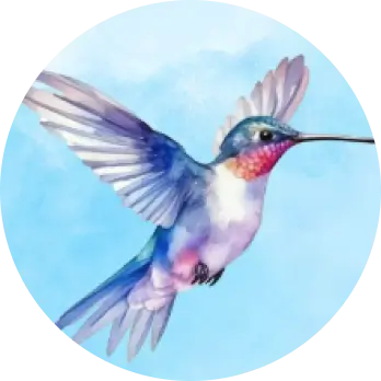 kolibri