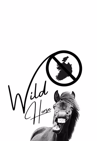 A black and white horse with a black and white sign that says "Wild Horse" on it.